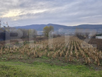 Teren intravilan, 2100 mp, Micesti