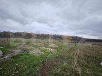 Teren intravilan, Dragutesti, 1184 mp