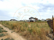 Teren Intravilan pe Strada Bega/Com. Berceni &ndash; Locația Pe