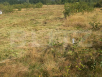 Teren extravilan 3300 mp, C&acirc;rțișoara- Set
