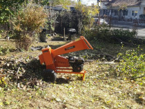 Cosesc iarba/defrisez/tai lemne/debarasare