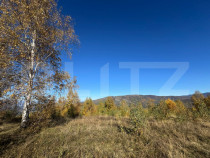 Teren extravilan de 17.183 mp in T&acirc;rsa