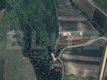 Teren extravilan 5996 mp, zona Valea Sasului - Teius