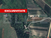 Teren extravilan 5996 mp, zona Valea Sasului - Teius