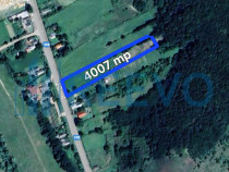 Vanzare Teren - Comuna Beresti-Tazlau, sat Bosoteni