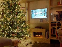 Brad de Crăciun superb