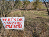 Teren intravilan Salistea Veche cu CF 2533mp