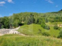 11,5 ha teren extravilan pe Trans Apuseana – cu izvor și