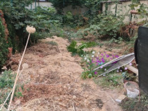 Întreținere si curățenie a spațiilor verzi, curti, gradini si imobile