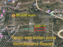 Teren extravilan, 1000 mp - zona Wonderland