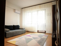 Garsoniera cf. 1 de inchiriat, Berceni, Drumul Binelui