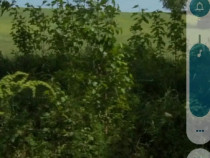 Teren 6500m2 Oncesti, Bacau