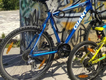 Bicicleta Giant Boulder