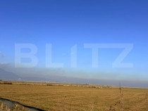 Teren de inchiriat 10.000mp -CRISTIAN