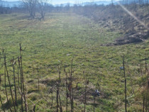 Oportunitate investiție | Teren 2400 mp &ndash; Dărmănești,