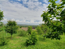 Teren intravilan - 2400 mp - 3 cabane din lemn modulare - Li