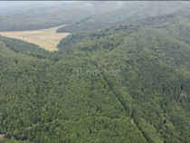 Teren 7 ha, Lac Vidraru, Podis Molivis