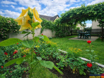 Poveste saseasca la umbra vitei de vie, cu crama si gradina