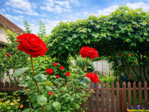 3D!LIVE! Casa cu vatra traditionala,gradina, garaj,facilitat