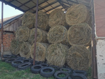 Baloți lucernă și f&acirc;n