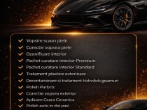 Detailing Profesional Auto V&acirc;lcea - Bibolor Auto SRL