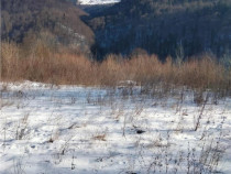 Teren Intravilan Sinaia 444 mp