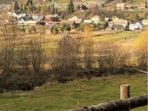 Teren comuna Carlibaba, jud. Suceava 8170mp