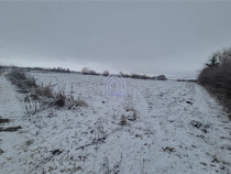 Teren intravilan Moara Bulai 51 ari