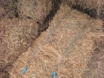 Baloti de lucerna și fan