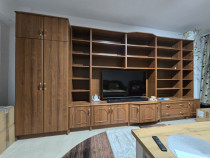 Mobila biblioteca living