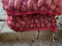 Cartofi pentru animale