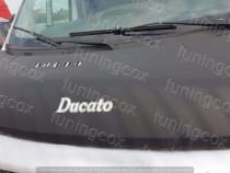 Huse capota bus Fiat Ducato an 1996-2001,2002-2006,2007-2012