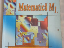 Matematica M1-Manual pentru clasa a 11-a