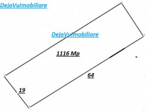Teren Sisesti Piscul Radului Stradal 1116 New 2025