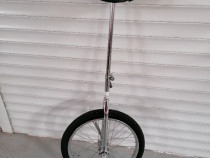 Monociclu ( bicicletă cu o roată)