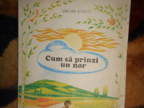 Cum sa prinzi un nor Serghei Kozlov - carte pentru copii