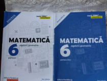 Culegeri de matematica, lb. română și de evaluare națională