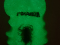 Breloc fosforescent de colectie scorpion suvenir Afganistan