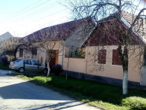 Casa rezidentiala vacanta Gladna Romana,Timis,st.Principala