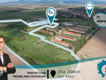 Teren intravilan de 5,5 ha, în Zăbrani(ID: 26650)