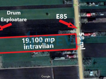 Teren intravilan de 19.100 mp, la E85, investiție, Secui...