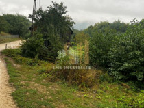 Teren intravilan Sinca Noua