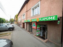 Investiție profitabilă: Spațiu comercial, Str Lacului,...