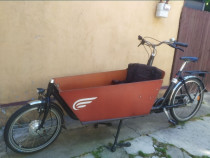 Bicicleta electrica cargo