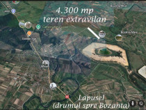 4.300 mp TEREN de vanzare în Lapusel / Drumul Bozanta