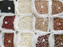 Beans from Ukraine. Various varieties in assortment