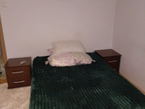 Apartament cu 1 camera Tatarasi