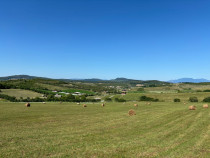 Teren, strada valea stanelor, bistrita, 700mp