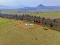 Teren Crizbav 1904 mp/PUZ/Langa Padure/Intravilan