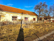 Casa de caramida in Tela si Teren Generos de 4320 mp